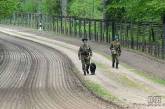 Пограничники начали "отделять" Донбасс от "мирной" Украины