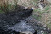 В Николаеве в реку слили сотни тонн нечистот