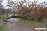 Стихия в Николаеве валит деревья и затапливает улицы