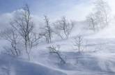 На Николаев надвигается непогода: обещают сильный снег с дождем