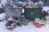 Пока все борются со снегом, центр Николаева утопает в мусоре