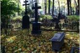 На николаевском кладбище найден расчлененный труп  