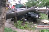 В центре Николаева на автомобиль упало дерево
