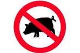 Африканская чума свиней: Николаев признан зоной надзора