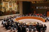 Совет безопасности ООН поддержал Украину