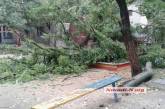 В Николаеве из-за шквального ветра два дерева упали на детскую площадку и жилой дом