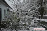 Репетиция зимы: снег в Николаеве растает уже завтра