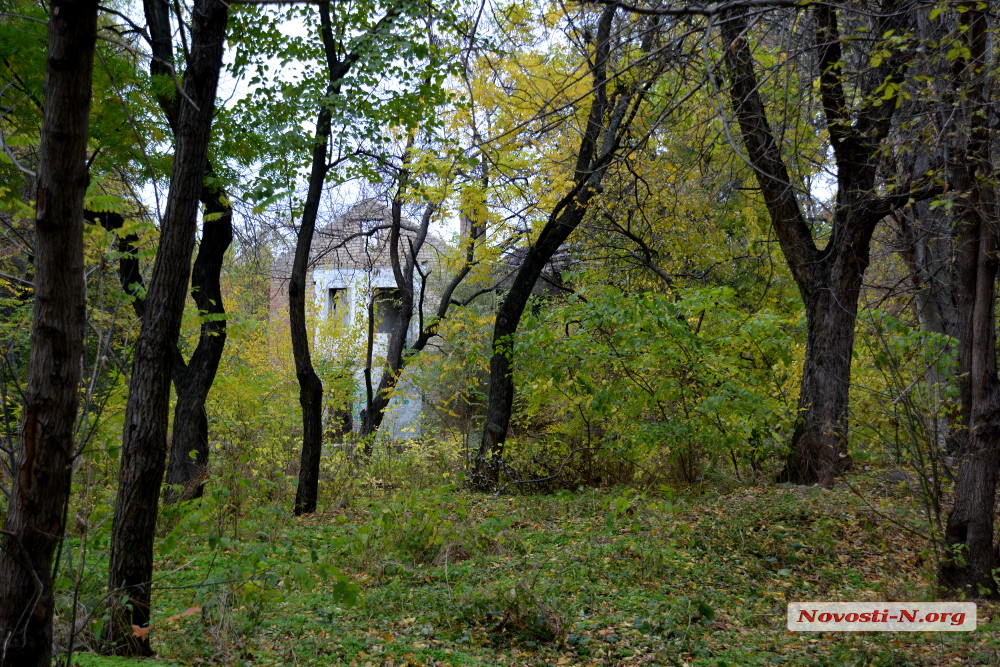 Николаевские парки: взгляд изнутри
