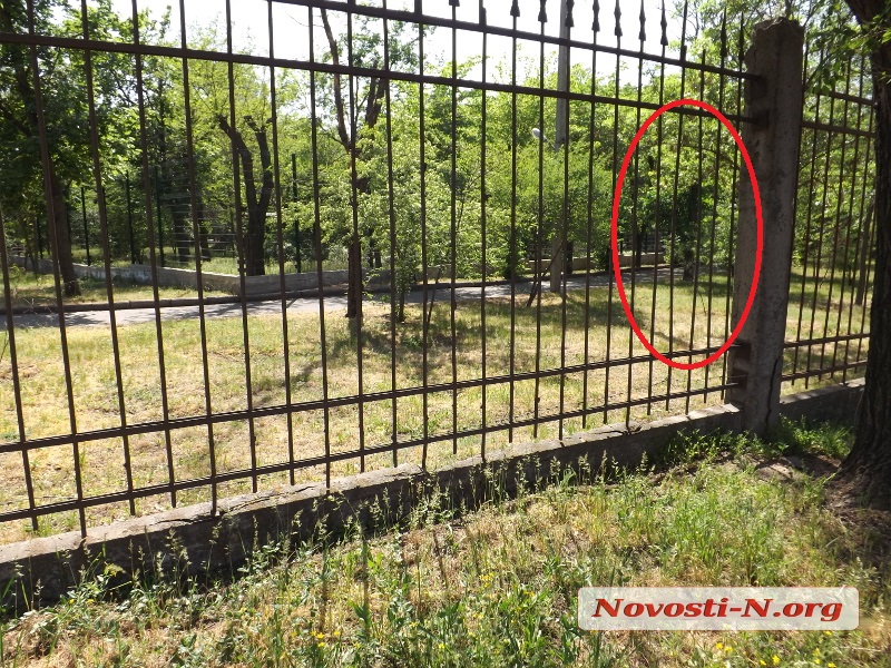 Смерть 4 альпака в Николаевском зоопарке: дыры в заборе «залатали» шифером