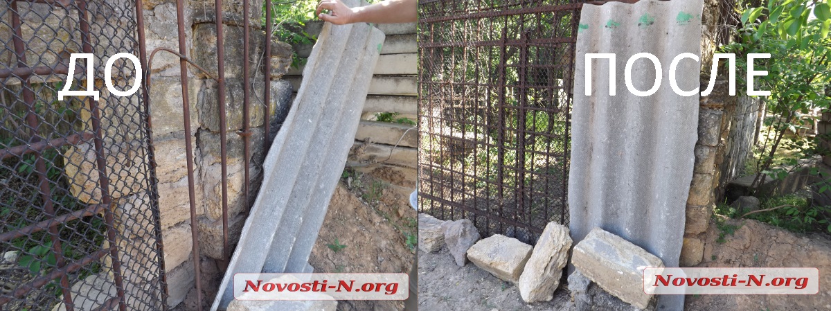 Смерть 4 альпака в Николаевском зоопарке: дыры в заборе «залатали» шифером