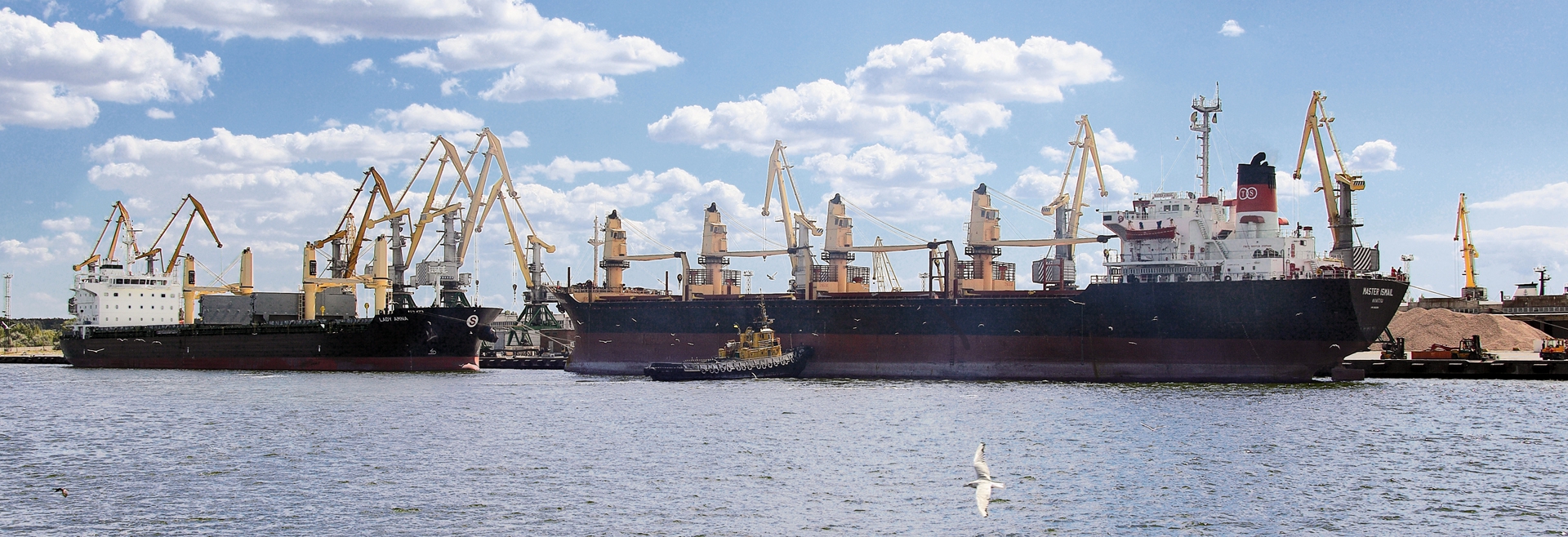 Достанется ли Николаеву порт «Ольвия»?