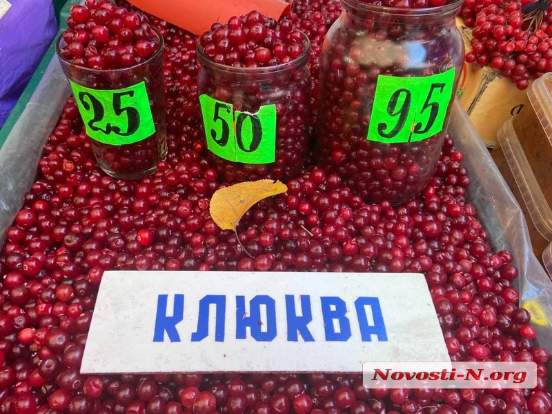 Как изменились цены за год на продукты в Николаеве: говядина +50%