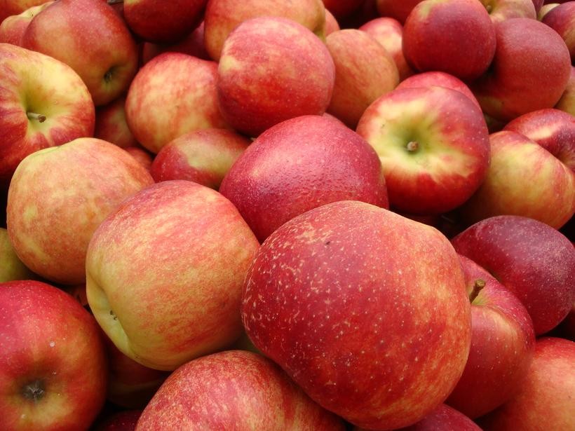 Покупая яблоки, выбирайте «женские» – они самые сладкие