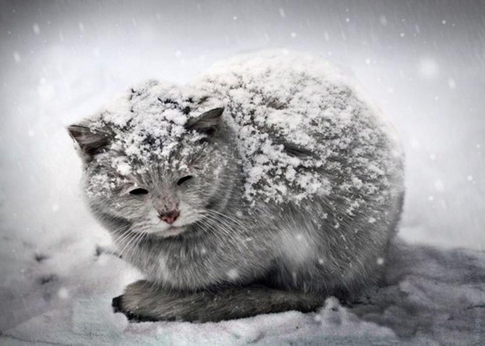 Попереду найскладніша зима в історії України. Як виживати - поради експертів