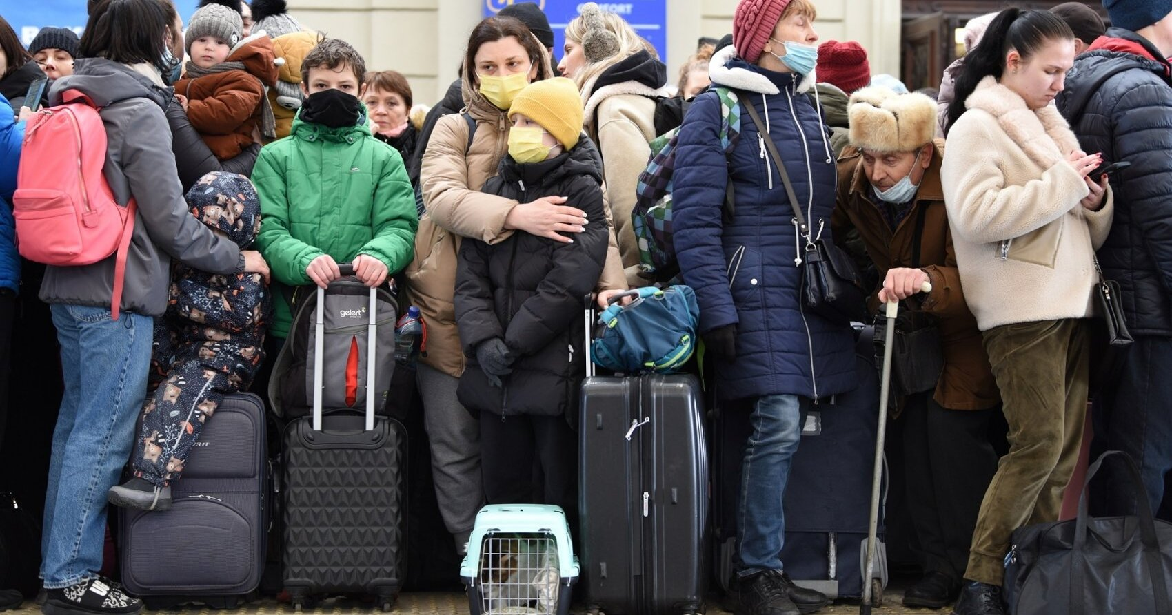 Українські біженці: скільки з них повернеться на Батьківщину?