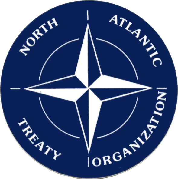 НАТО может отправить в Украину войска - экс-генсек альянса