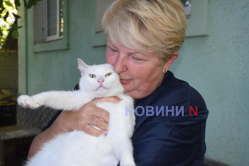 «Душа бродяги»: как выживает лучший в Украине приют для животных под Николаевом