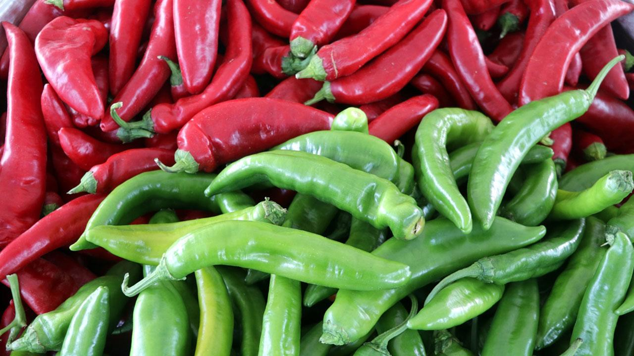  Убийца опухолей, иммуномодулятор и антидепрессант - чудодейственное растение из Турции