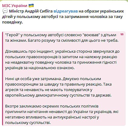 В Польше задержали мужчину, оскорблявшего украинских детей в автобусе - МИД Украины