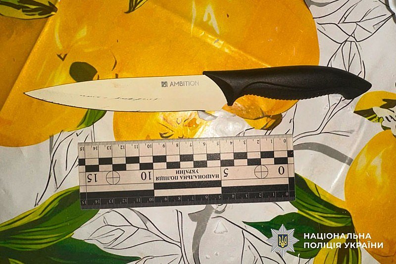 У Миколаєві жінка вдарила сусідку ножем у живіт під час конфлікту через собаку