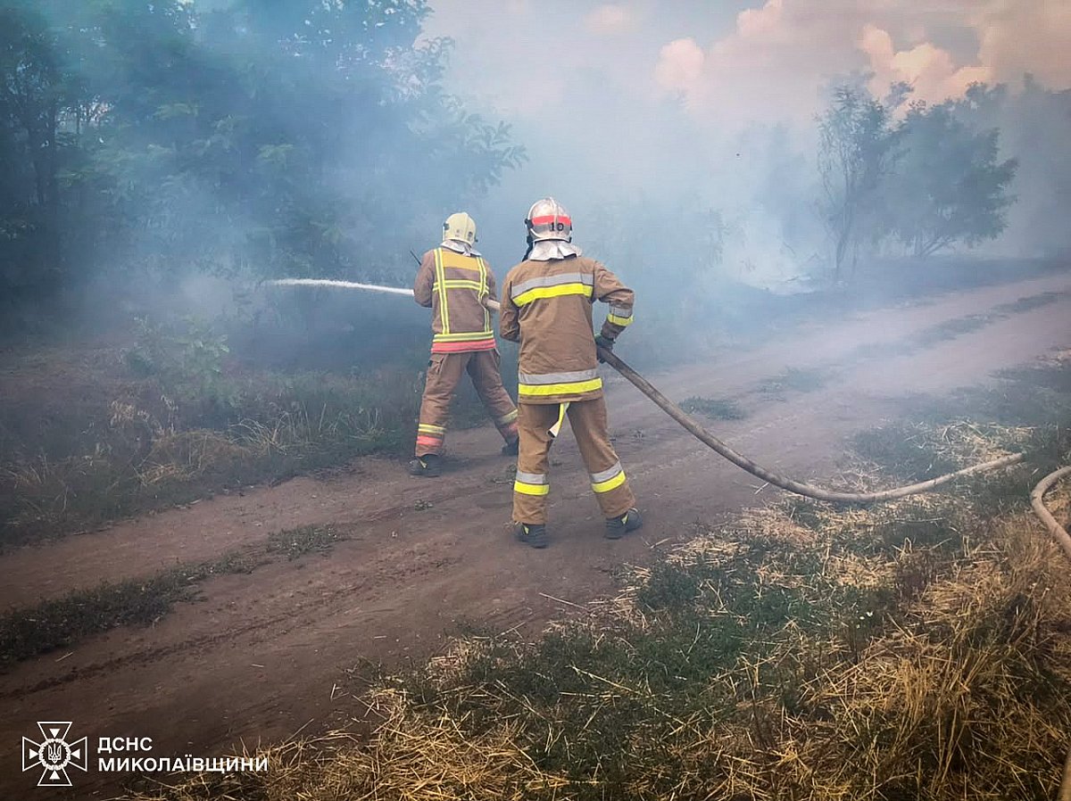 В Николаевской облсти из-за обстрелов горели лесополосы и пшеница