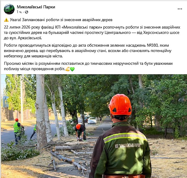 Завтра на проспекте в центре Николаева начнут удалять аварийные деревья 