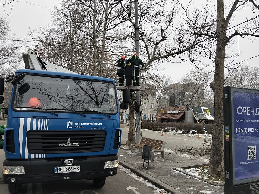 Скандальна обрізка дерев на Соборній у Миколаєві: «висновки на користь платанів», - депутат