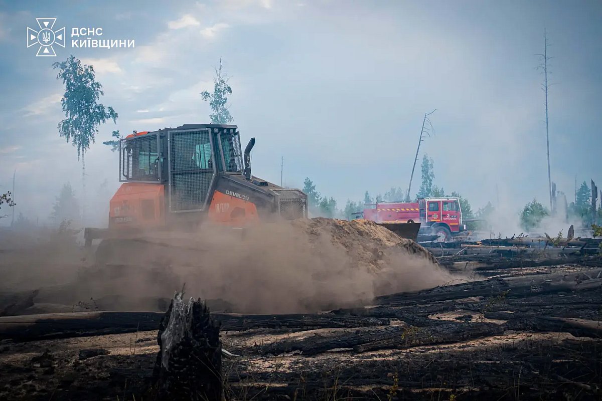 У зоні відчуження ЧАЕС спалахнули пожежі