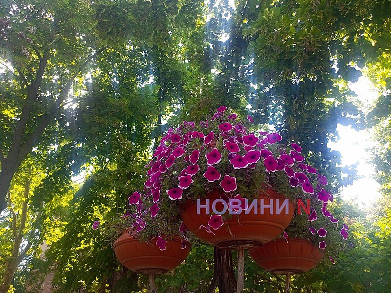 Николаевскую область может накрыть «тепловой купол»: синоптики предупреждают об экстремальной жаре