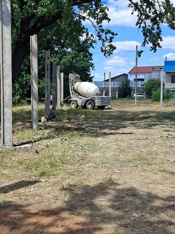 В Вознесенске повредили 170-сантиметровый дуб: инспекторы составили протоколы