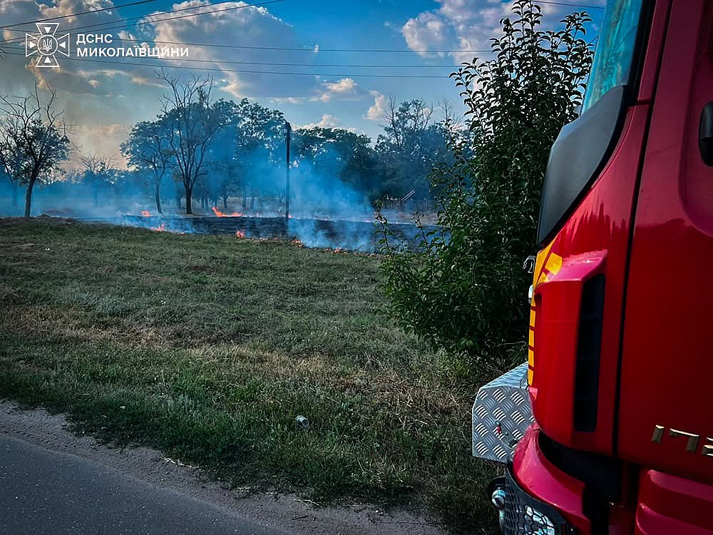 В Николавской области едва не сгорел лес: пожар охватил около 5 гектаров