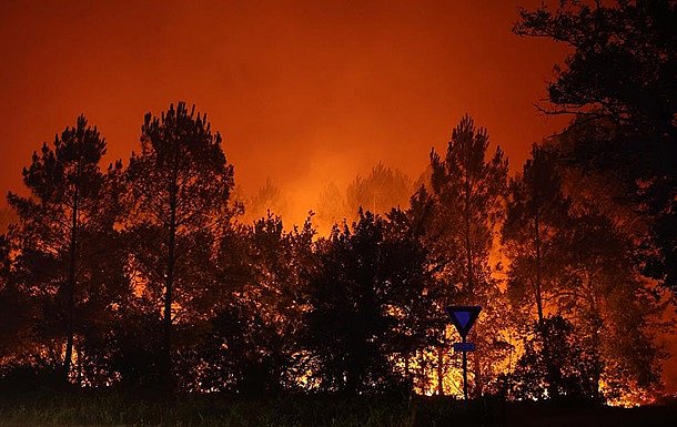 Массовые аресты во Франции: за поджоги лесов задержали более 400 человек