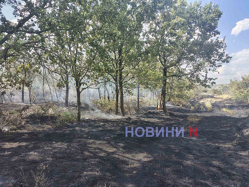 В Николаеве масштабный пожар: огонь подступает к газовой АЗС  