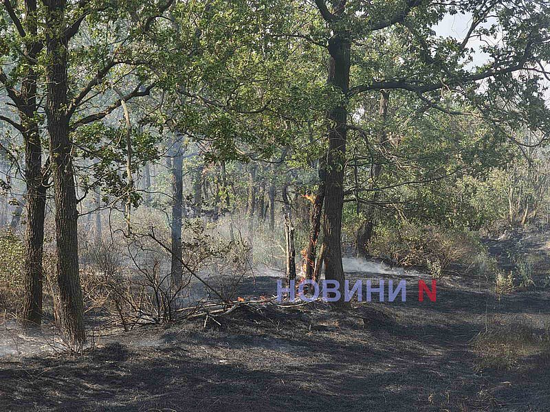 В Николаеве масштабный пожар: огонь подступает к газовой АЗС  