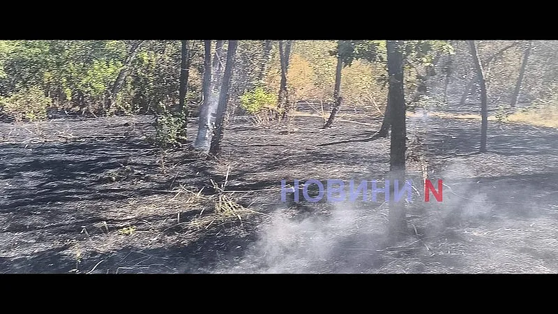 В Николаеве снова горит зеленая зона «Дубки» (фото, видео)