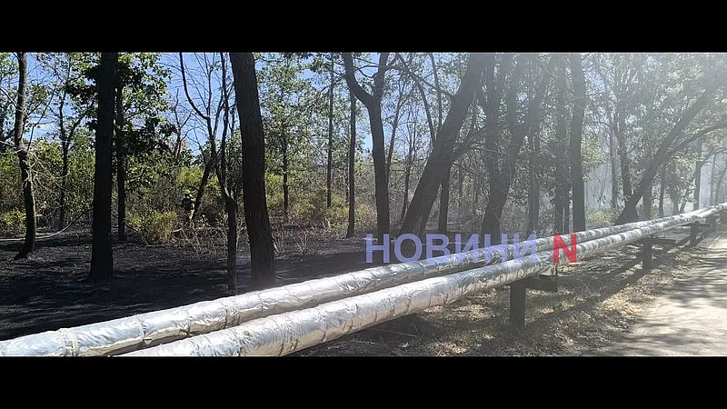 В Николаеве снова горит зеленая зона «Дубки» (фото, видео)