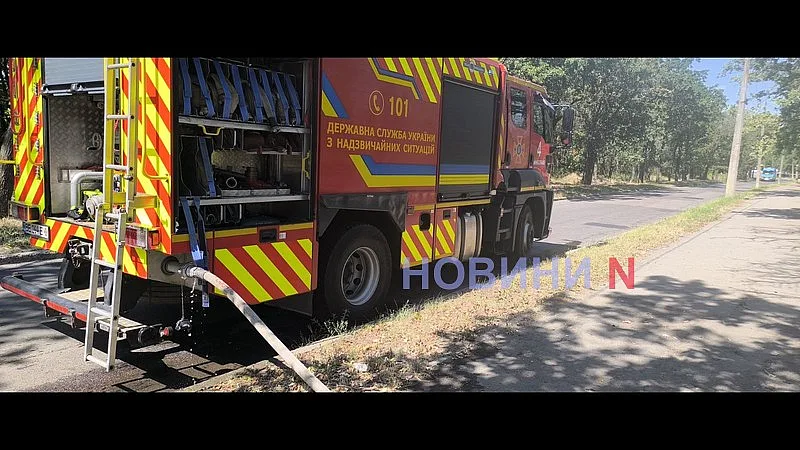 В Николаеве снова горит зеленая зона «Дубки» (фото, видео)
