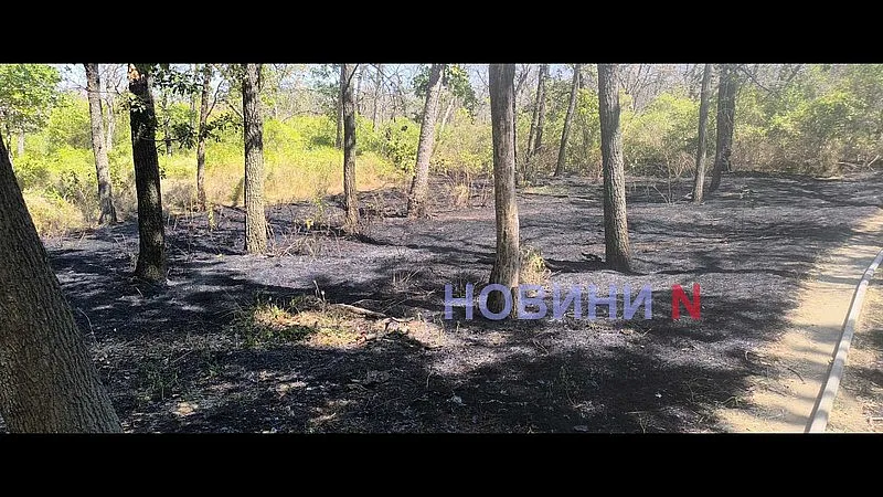 В Николаеве снова горит зеленая зона «Дубки» (фото, видео)