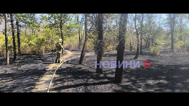 В Николаеве снова горит зеленая зона «Дубки» (фото, видео)