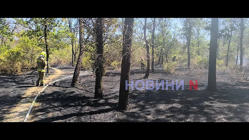 В Николаеве снова горит зеленая зона «Дубки» (фото, видео)