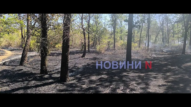 В Николаеве снова горит зеленая зона «Дубки» (фото, видео)
