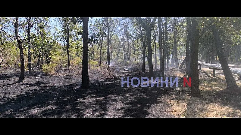 В Николаеве снова горит зеленая зона «Дубки» (фото, видео)