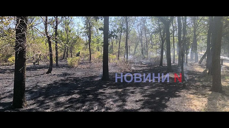 В Николаеве снова горит зеленая зона «Дубки» (фото, видео)