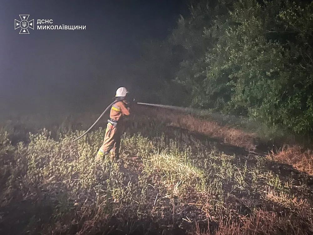 На Миколаївщині ліквідували масштабну пожежу: вогонь перекинувся з сухостою на споруди