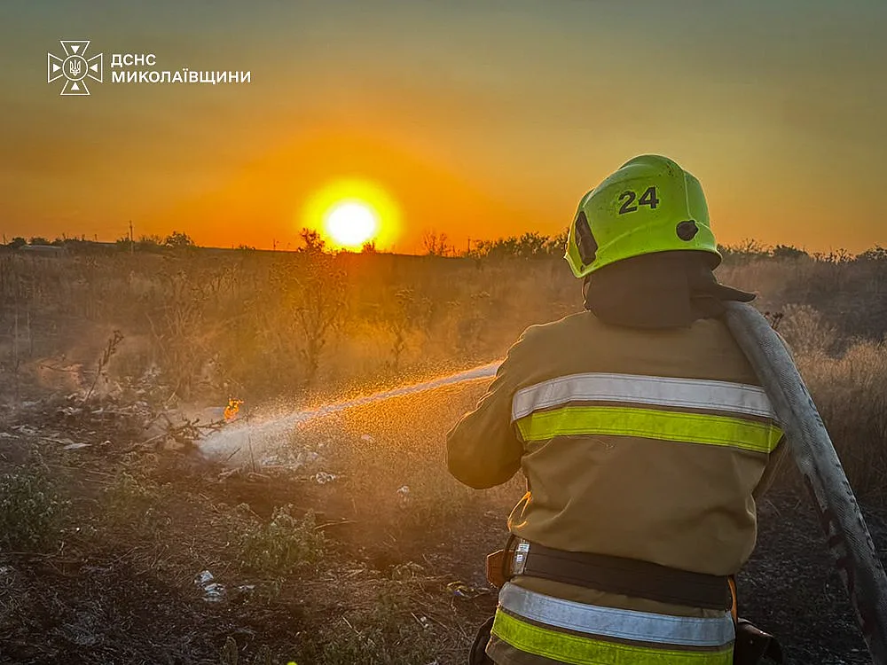 На Миколаївщині ліквідували масштабну пожежу: вогонь перекинувся з сухостою на споруди