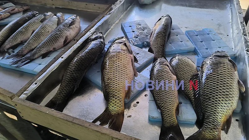 Августовский рынок в Николаеве: актуальные цены на основные продукты