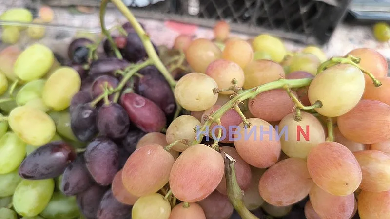 Августовский рынок в Николаеве: актуальные цены на основные продукты