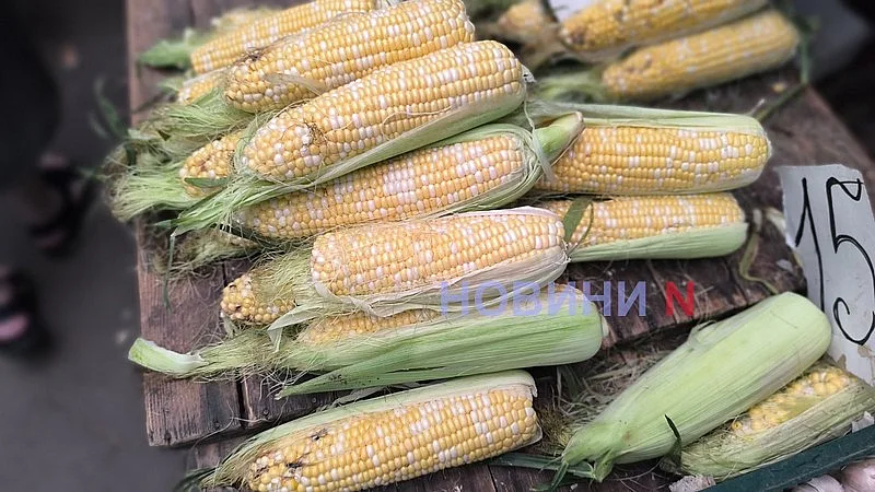Августовский рынок в Николаеве: актуальные цены на основные продукты
