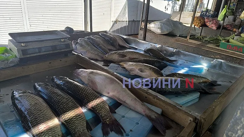 Августовский рынок в Николаеве: актуальные цены на основные продукты