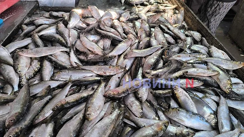 Августовский рынок в Николаеве: актуальные цены на основные продукты